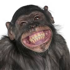 smilechimp